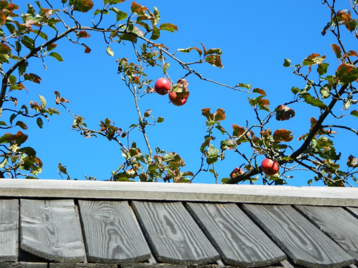 Tržič Glamping Organic Farm Slibarヴィラ エクステリア 写真