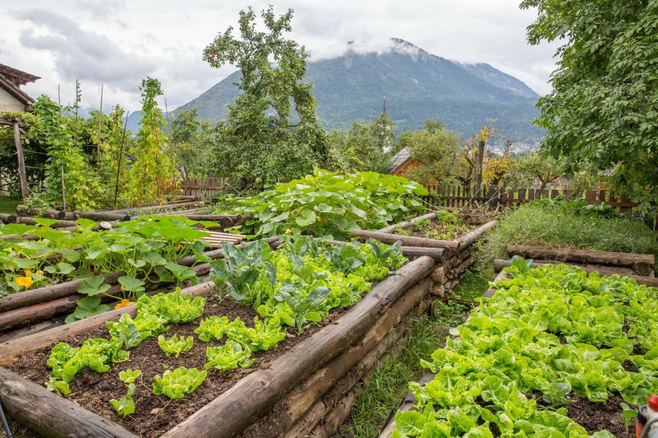 Tržič Glamping Organic Farm Slibarヴィラ エクステリア 写真