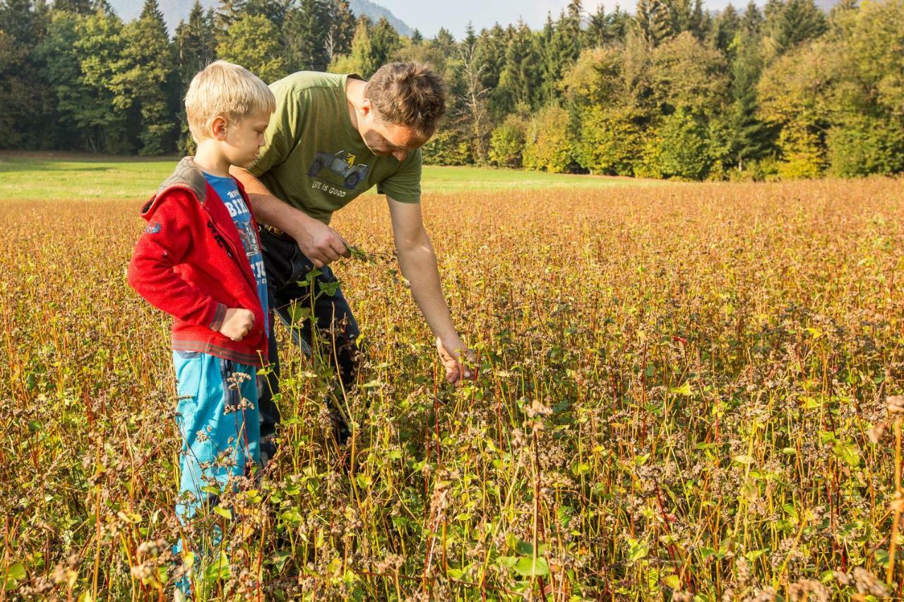 Tržič Glamping Organic Farm Slibarヴィラ エクステリア 写真